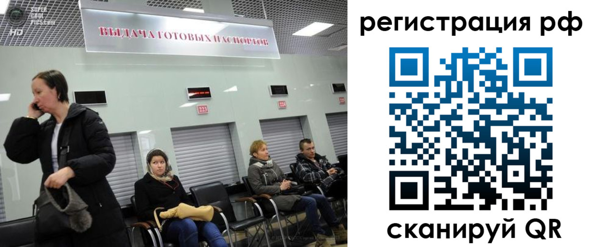 прописка для школы в Владимирской области