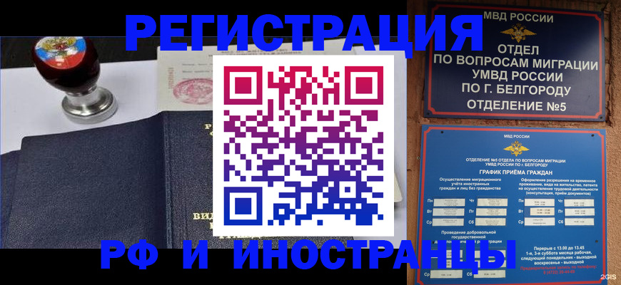 временная регистрация поиск в Владимирской области